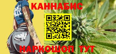 гашик Шелехов