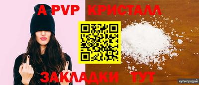 гашик Шелехов