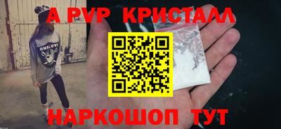 гашик Шелехов