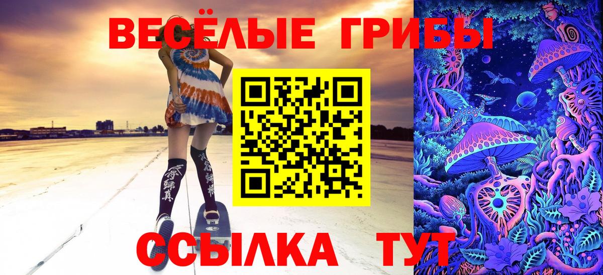 Псилоцибиновые грибы Psilocybine cubensis Майкоп